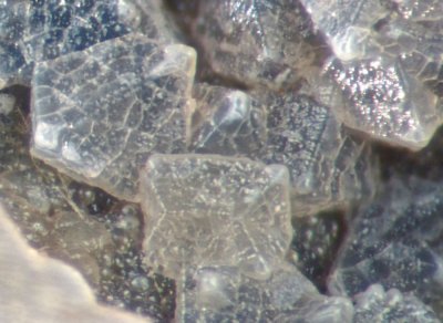 Faujasite-Na octahedra to about 1 mm, with some spinel twins. Limberg Quarries, Sasbach, Baden-Wrttemberg, Germany.