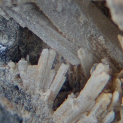 Lanarkite in crystals to 3 mm, Whitwell Quarry, Whitwell, Derbyshire. 