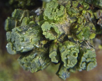 Pyromorphite crystals to 2 mm on 3 cm matrix, Hardrigg Edge, Melmerby Fell, Alston, Cumbria.