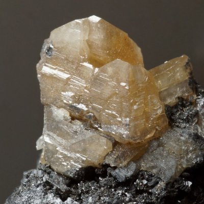 Cerussite crystal 10 mm on 25 mm galena matrix, Park Hall Fault, Whitwell Quarry, Whitwell, Derbyshire.