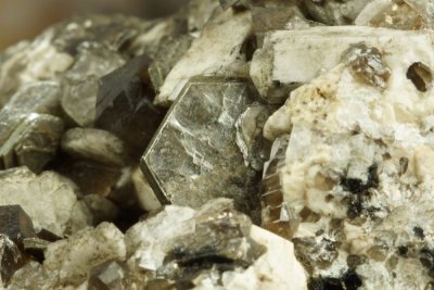 Mica crystals to ca 9 mm with smoky quartz, albite and perthite on 7 cm matrix, Diamond Rocks, Mourne Mountains.