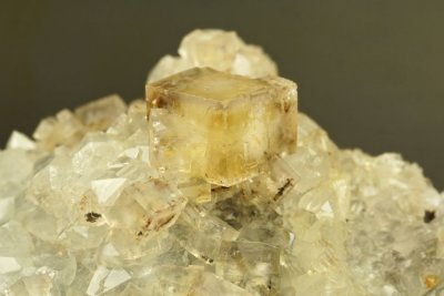 Fluorite crystal 12 mm across on 68 mm matrix of quartz with sphalerite. Appropriation Pocket, Boundary Flatt, Rampgill Mine