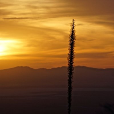 Sunset from the Western Escarpment