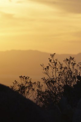 Sunset from the Western Escarpment