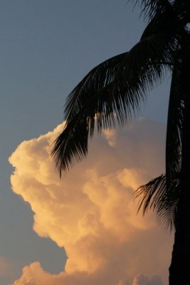 Miami Beach Luminous sky