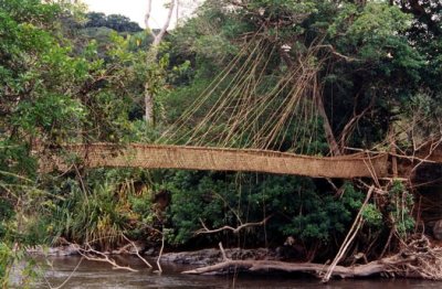 The liana bridge at Pubara near Franceville. 5/10/96.