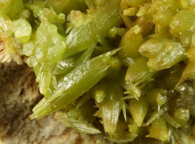 Pyromorphite crystals to 11 mm on 4 cm matrix. Mexico Mine, Roughton Gill, Cumbria.