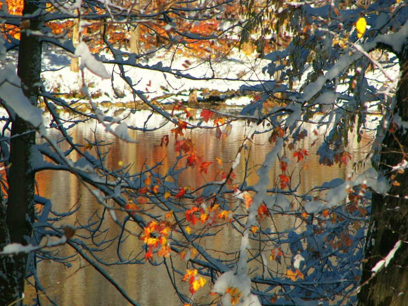 Late Fall Snow Storm 2011