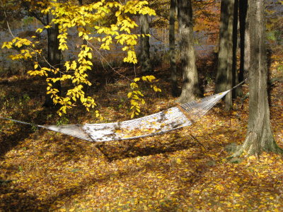 My backyard hammock