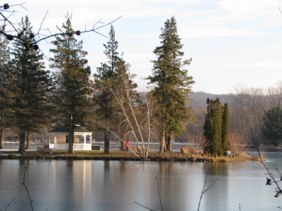 Horseshoe Lake Scene