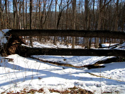 Walkway under natural bridge