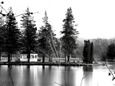 Horseshoe Lake in Black and White.