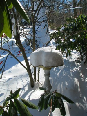 Bird Bath Closed Today