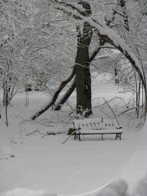 My favorite Bench