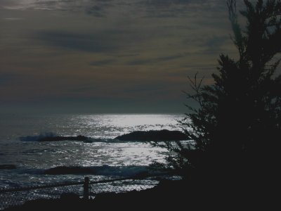 Night Sky over the Pacific
