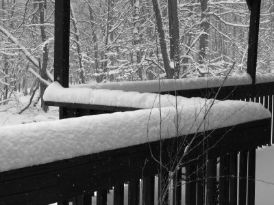 Last hoorah of winter