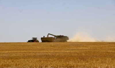 Harvest is underway.