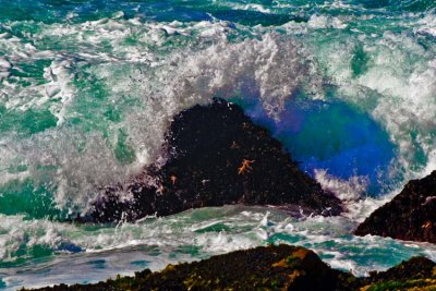 _DSC0998.jpg