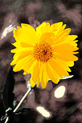 Randomness