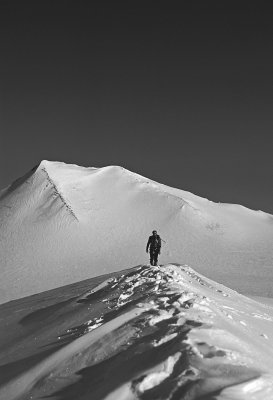 Canadian High Arctic 1980