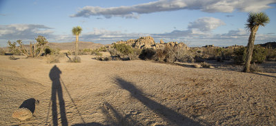 20130220-Joshua Tree Nat. Park_CA__MG_0870.jpg
