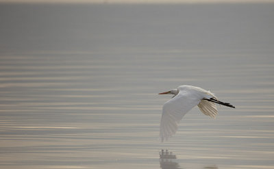 20130221-Salton Sea_California__MG_0989-2.jpg