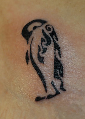 PENGUIN TATTOO  -  ISO 400  -  TAKEN WITH A SONY/ZEISS 24mm E-MOUNT LENS