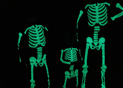 GLOWING SKELETONS  -  ISO 6400  -  TAKEN WITH A SONY/ZEISS 24mm f/1.8 E-MOUNT LENS