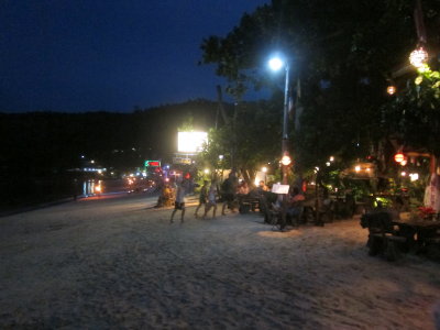 night time beach life 1