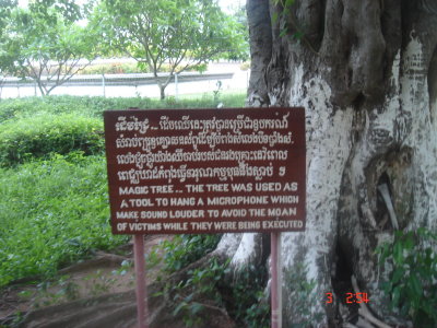 magic tree sign