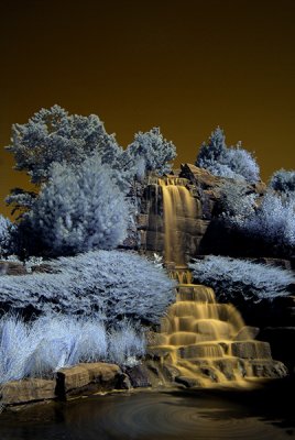 Nature/Landscape black and white--sepia--Infrared