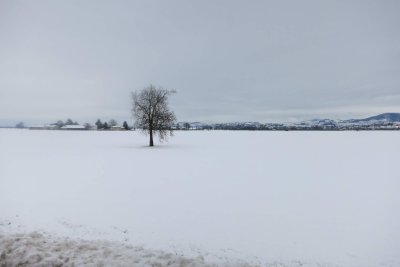 fuori Voghera