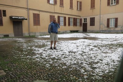 alieno venuto dai tropici