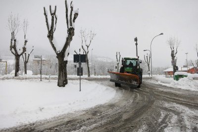 Varzi
