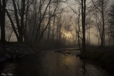 Morning Arrives Over a Stream
