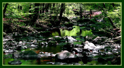 Searching for Monster in Inner Sanctum of the Forest