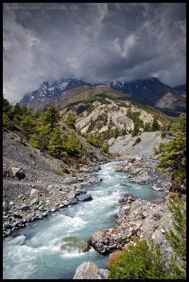 Sabje Khola