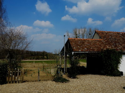 Sunny Loire in Spring