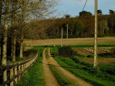 Rural scenes Maine et Loire