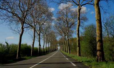 Road to La Fleche