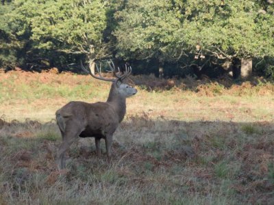 DSCN1578.JPG