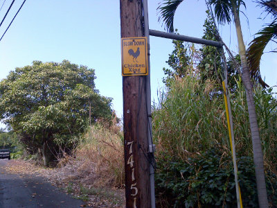 IMG-20121015-00168.jpg