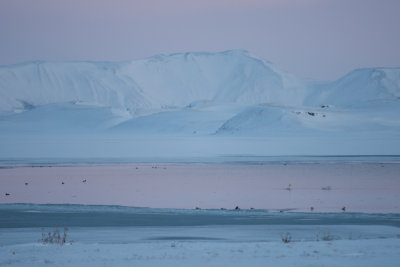 Myvatn lake