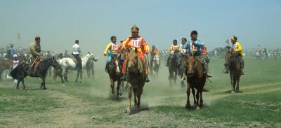 415-200 first race arrival with the youngest horses, after a 30km  run