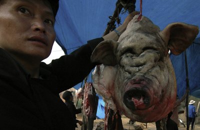 Li lợn chợ Đồng Văn