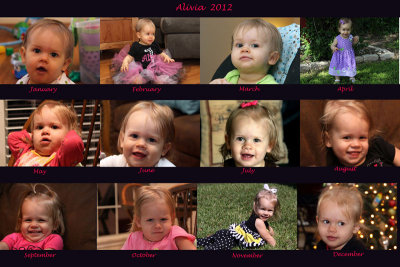 Alivia May to December 2012