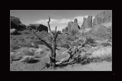 6477Arches National Park.jpg