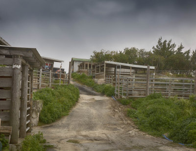 West Over farms