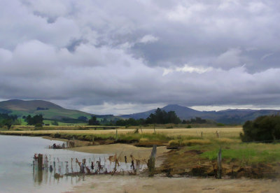 Otago Peninsula.