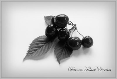 Dawsons Black Cherries.